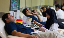مهاباد فراورده های خونی به اتحادیه اروپا صادر می کند