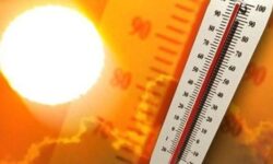رکوردزنی گرما در پیرانشهر / گرمای هوا بی سابقه بود