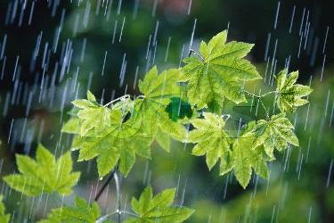 میانگین بارش در ۱۷ استان کشور کاهش یافته است