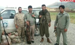 دستگیری ۲ شکارچی کَل و بُز در ارتفاعات پیرانشهر