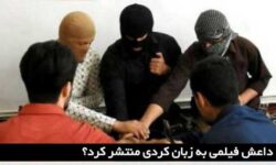 چرا باید داعش فیلمی به زبان کردی منتشر کند