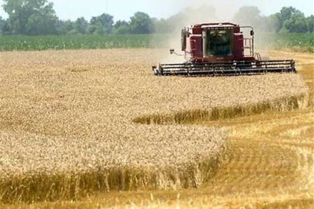 کشاورزان مناطق سرد و معتدل کشور کشت گندم خود را زودتر آغاز کنند