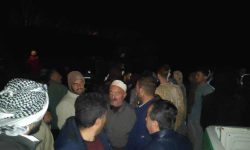 یک باند قاچاق درخت در پیرانشهر دستگیر شدند