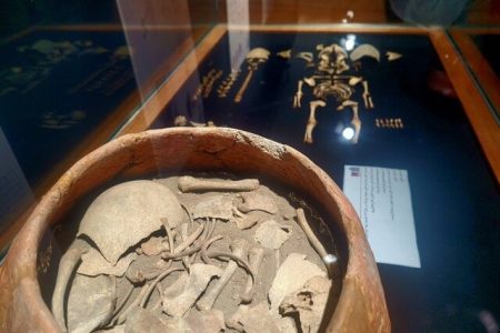 کشف نوزاد ۶۵٠٠ ساله در سد چپرآباد اشنویه