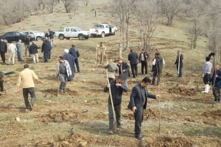 روز درختکاری در پیرانشهر