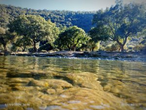 جنگلهای پیرانشهر به مساحت بیش از 7500 هکتار بعنوان سرآغاز ناحیە رویشی زاگرس