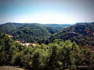 جنگلهای پیرانشهر