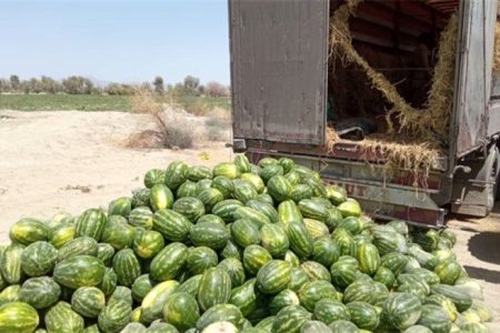 هندوانه‌های برگشت‌خورده از اقلیم کردستان در بازار داخلی به فروش می‌رسند