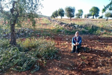 پایان آوارگی کردهای عفرین